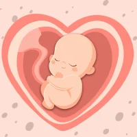HiMommy Gravidanza & Fertilita
